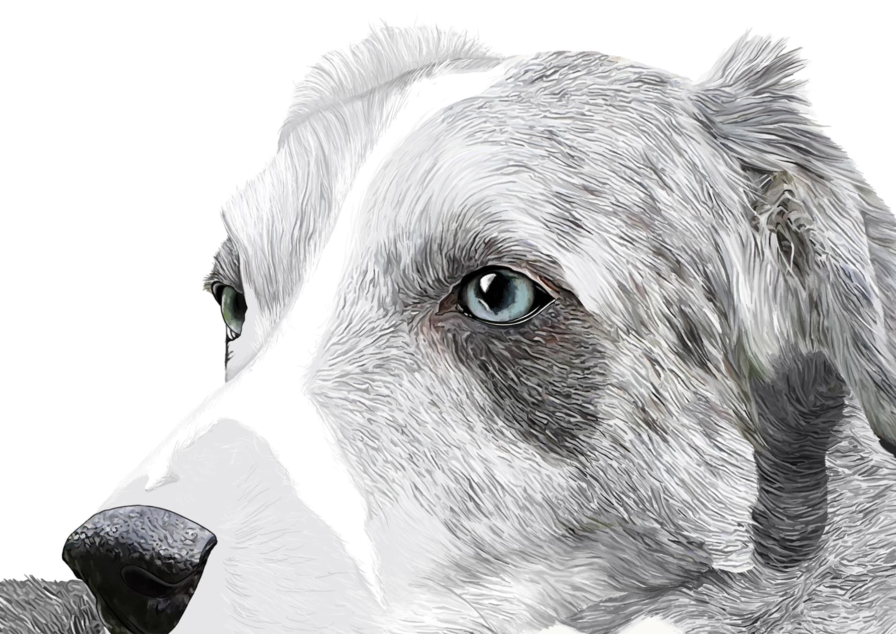 Freckles Blue abby Wright4